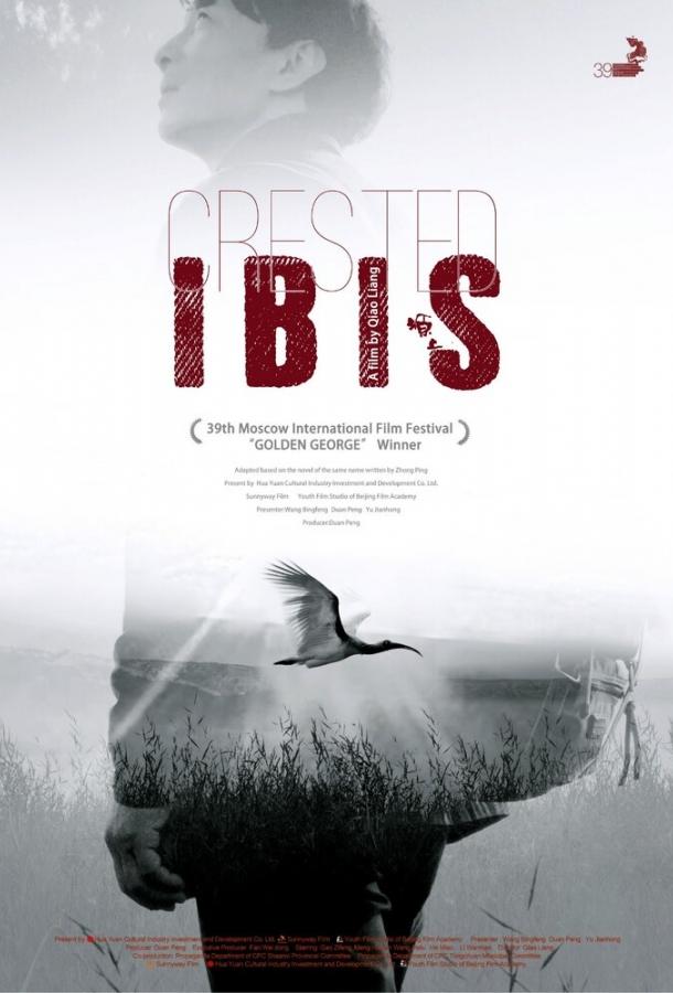 Постер к Хохлатый ибис (2017)