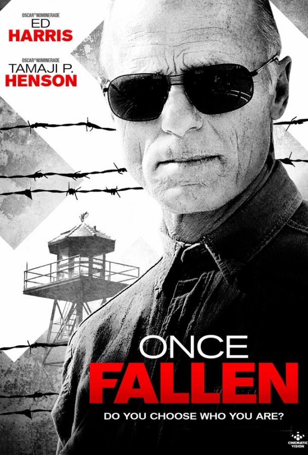 Постер к Единожды падший (2010)