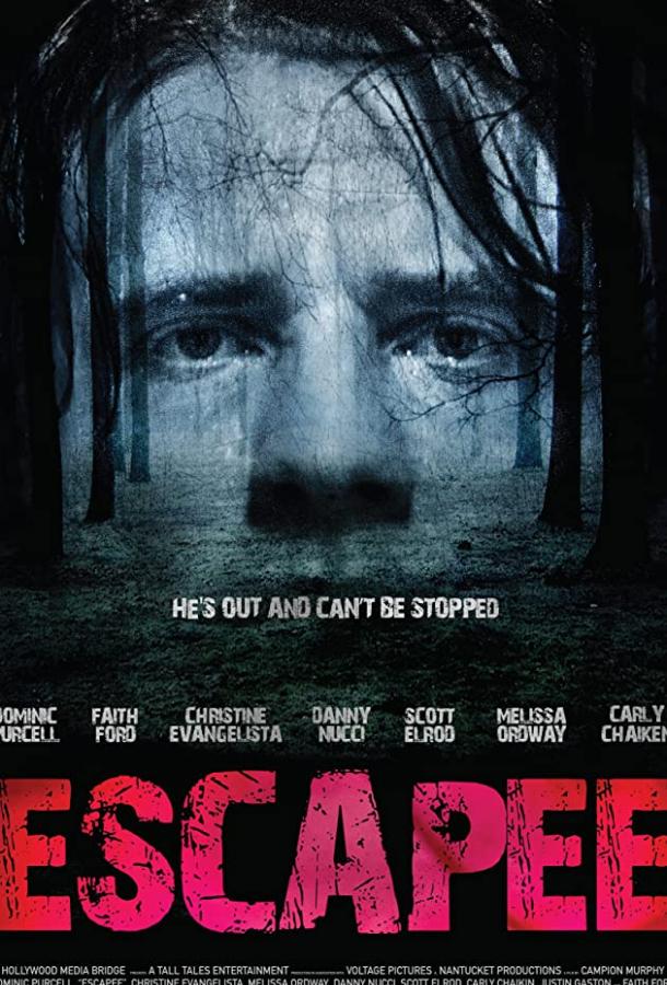 Постер к Беглец (2011)