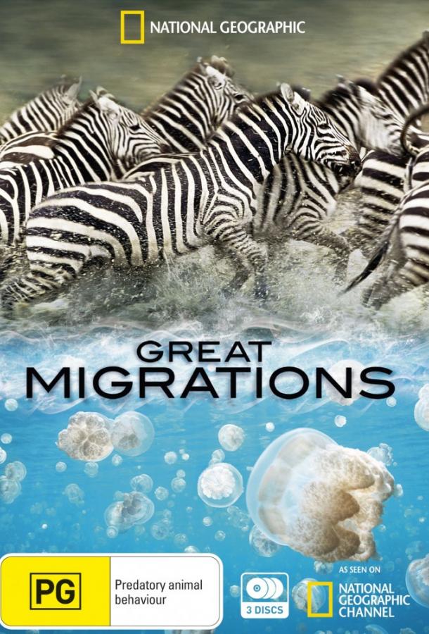 Постер к Великие миграции (1 сезон)